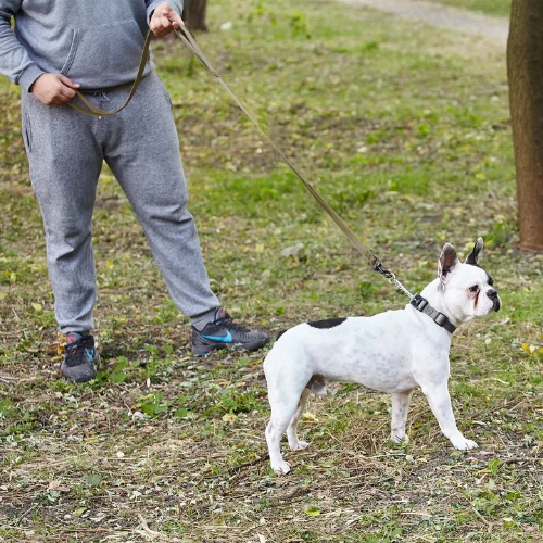 Dogline Biothane Waterproof Multi-Handle Dog 6' Lead Red 5 Dogline Biothane Waterproof Multi-Handle Dog 6' Lead Red - Image 3