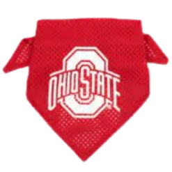 The Worthy Dog Ohio State Mesh Dog Bandana