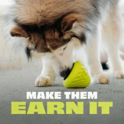 Benebone Bounce Natural Rubber Cone Enrichment Dog Toy -Mutts And Co-us 2BeneboneBounceNaturalRubberConeEnrichmentDogToy