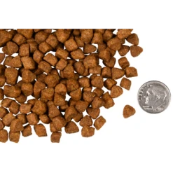 Fromm Four-Star Hasen Duckenpfeffer Cat Food -Mutts And Co-us 2FrommFour StarHasenDuckenpfefferCatFood