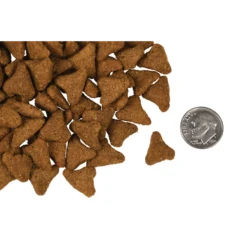 Fromm Four-Star Whitefish & Potato Dog Food -Mutts And Co-us 2FrommFour StarWhitefish PotatoDogFood