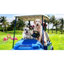 Fromm Gold Reduced Activity & Senior Dog Food -Mutts And Co-us 2FrommGoldReducedActivity SeniorDogFood 1