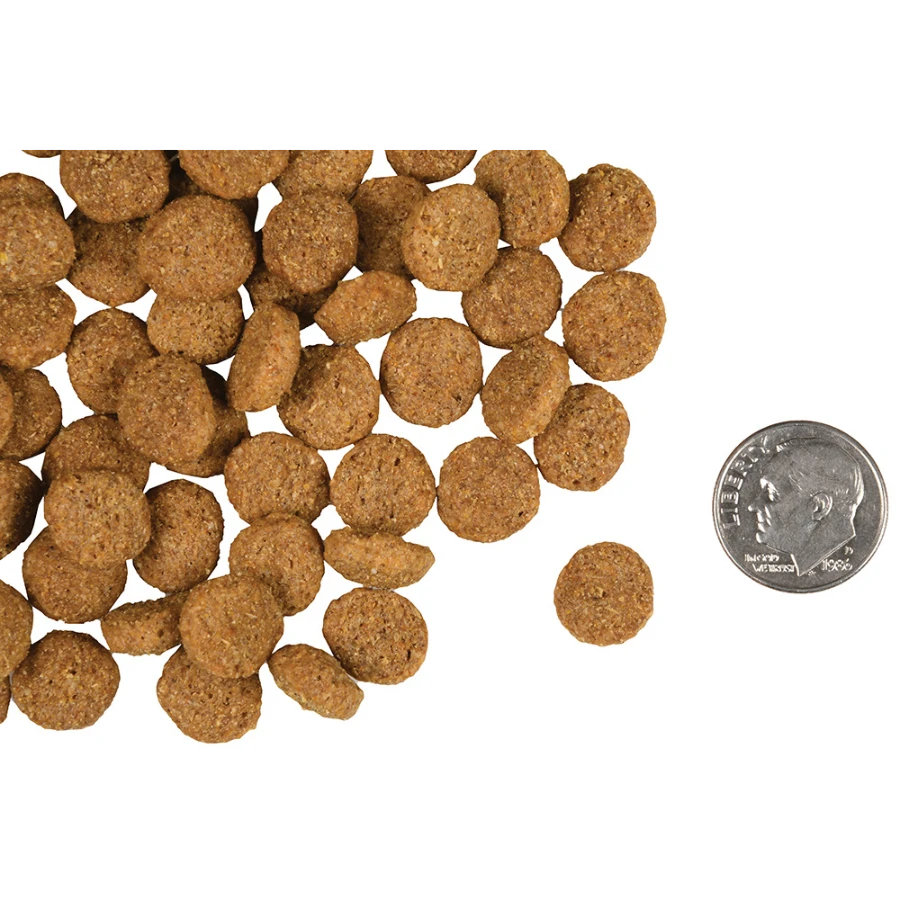 Fromm Gold Weight Management Dog Food 4 Fromm Gold Weight Management Dog Food - Image 2