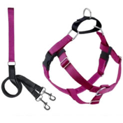 2 Hounds Design Freedom No-Pull Dog Harness With Leash Raspberry