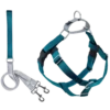 2 Hounds Design Freedom No-Pull Dog Harness With Leash Teal -Mutts And Co-us 2HoundsDesignFreedomNo PullDogHarnessWithLeashTeal 1