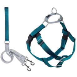 2 Hounds Design Freedom No-Pull Dog Harness With Leash Teal