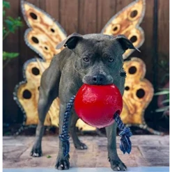 Jolly Pets Romp-N-Roll Red -Mutts And Co-us 2JollyPetsRomp N RollRed