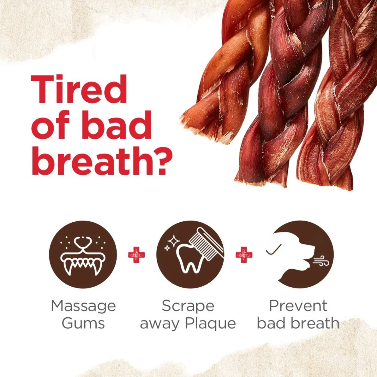 Natural Farm Odor Free Braided Bully Stick 6" 4 Natural Farm Odor Free Braided Bully Stick 6" - Image 2