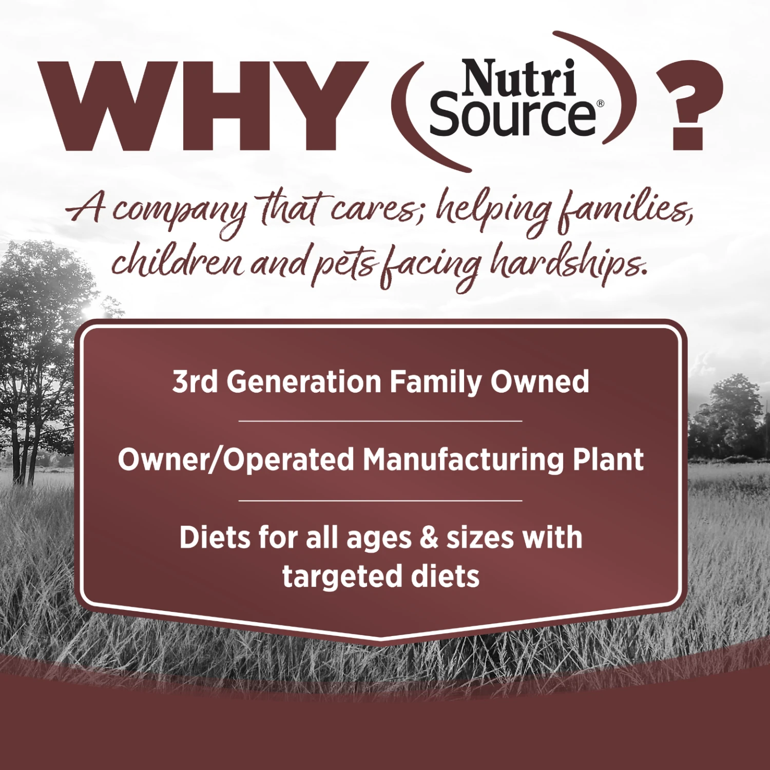 Nutrisource Turkey & Turkey Liver Select Grain-Free Canned Cat Food 5.5 Oz 4 Nutrisource Turkey & Turkey Liver Select Grain-Free Canned Cat Food 5.5 Oz - Image 2