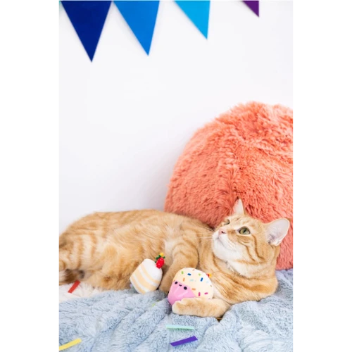 Pearhead Catnip Birthday Cake Cat Toy Set 5 Pearhead Catnip Birthday Cake Cat Toy Set - Image 3