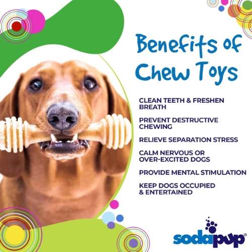 SodaPup Honey Bone EChew Durable Nylon Dog Chew Toy 6 SodaPup Honey Bone EChew Durable Nylon Dog Chew Toy - Image 4