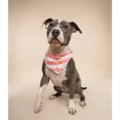 The Paws Wish Dog Bandana Pink 9 The Paws Wish Dog Bandana Pink -Mutts And Co-us 2ThePawsWishDogBandanaPink