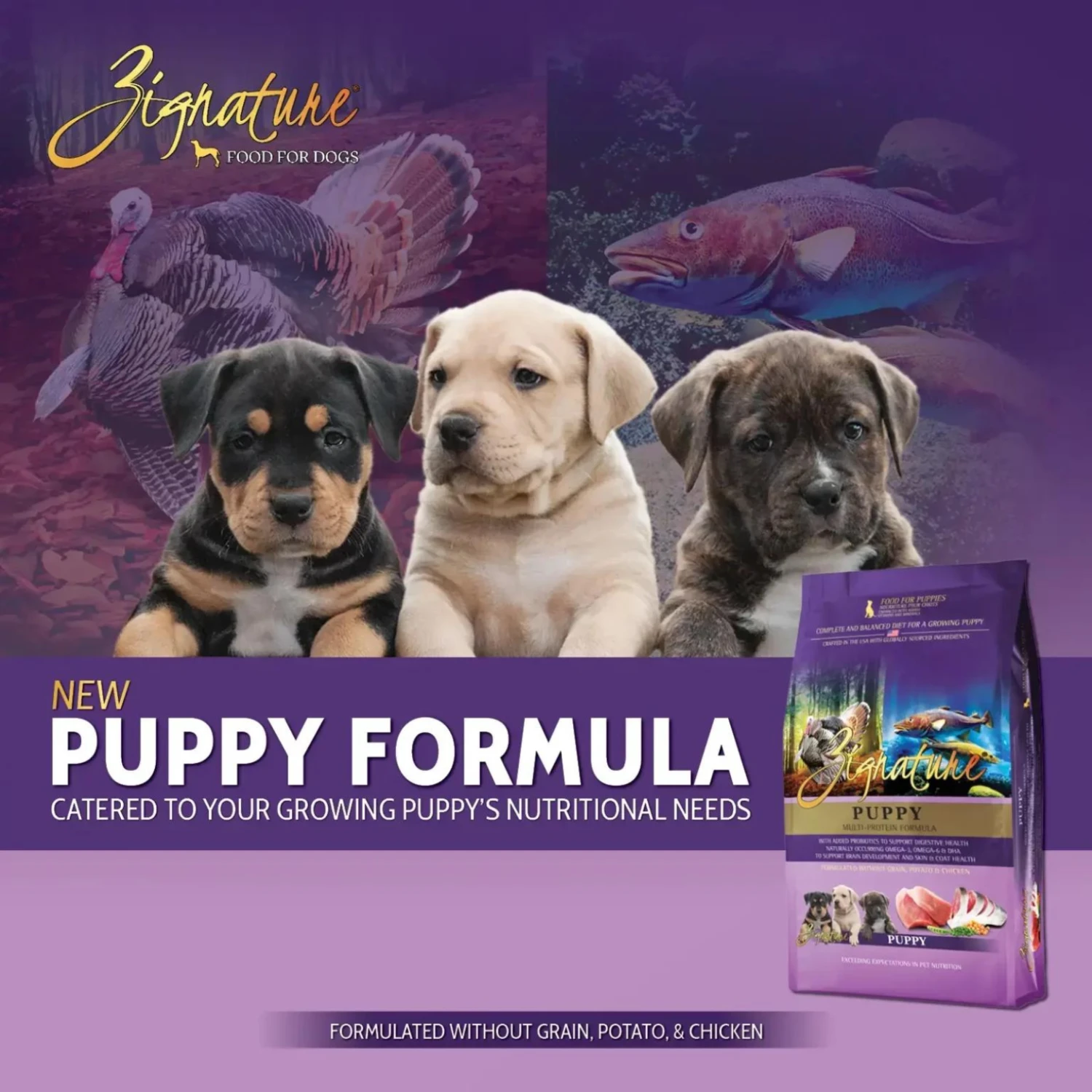 Zignature Puppy Limited Ingredient Formula Dry Dog Food 4 Zignature Puppy Limited Ingredient Formula Dry Dog Food - Image 2