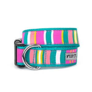 The Worthy Dog Fiesta Stripe Dog Collar 3 The Worthy Dog Fiesta Stripe Dog Collar