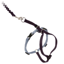 PetSafe Come With Me Kitty Harness & Bungee Cat Leash Black