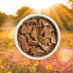 Acana Premium Chunks Beef Recipe In Bone Broth Canned Dog Food, 12.8-oz 9 Acana Premium Chunks Beef Recipe In Bone Broth Canned Dog Food, 12.8-oz -Mutts And Co-us 3AcanaPremiumChunksBeefRecipeinBoneBrothCannedDogFood 12.8 oz