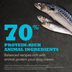 Acana Regionals Wild Atlantic Grain-Free Dog Food -Mutts And Co-us 3AcanaRegionalsWildAtlanticGrain FreeDogFood