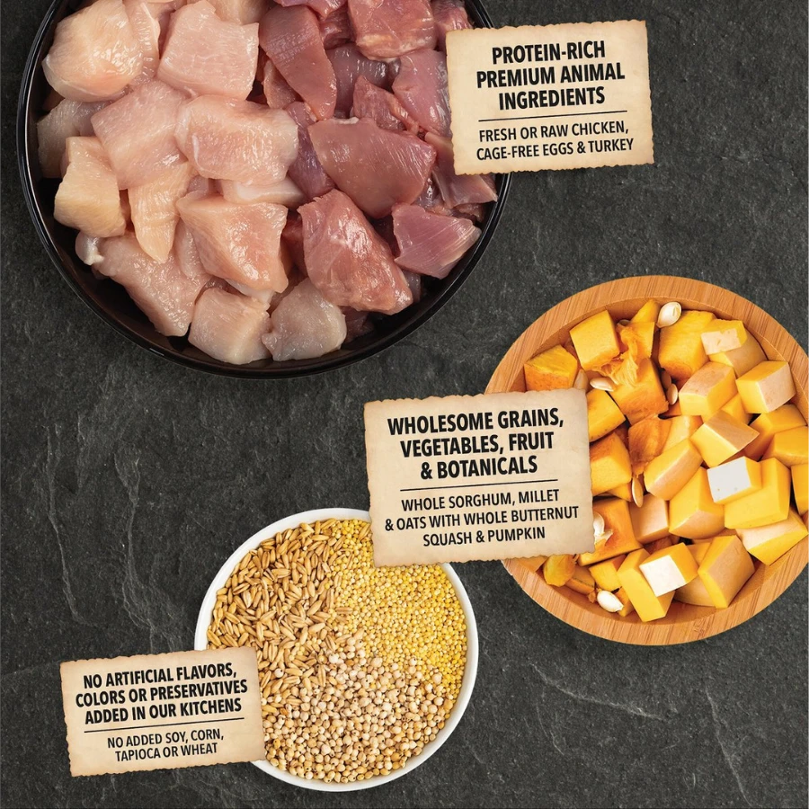 Acana Wholesome Grains Puppy Recipe Dry Dog Food 5 Acana Wholesome Grains Puppy Recipe Dry Dog Food - Image 3