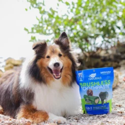 Ark Naturals Brushless Toothpaste Medium Dental Dog Treats, 18-oz -Mutts And Co-us 3ArkNaturalsBrushlessToothpasteMediumDentalDogTreats 18 oz