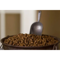 Dr. Gary's Best Breed Holistic Grain-Free Red Meat Recipe Dry Dog Food 7 Dr. Gary's Best Breed Holistic Grain-Free Red Meat Recipe Dry Dog Food -Mutts And Co-us 3Dr.Gary sBestBreedHolisticGrain FreeRedMeatRecipeDryDogFood