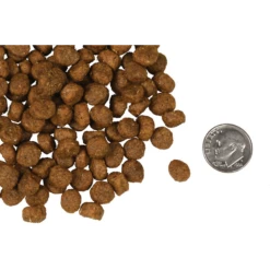 Fromm Four-Star Salmon A La Veg Dog Food 7 Fromm Four-Star Salmon A La Veg Dog Food -Mutts And Co-us 3FrommFour StarSalmonALaVegDogFood