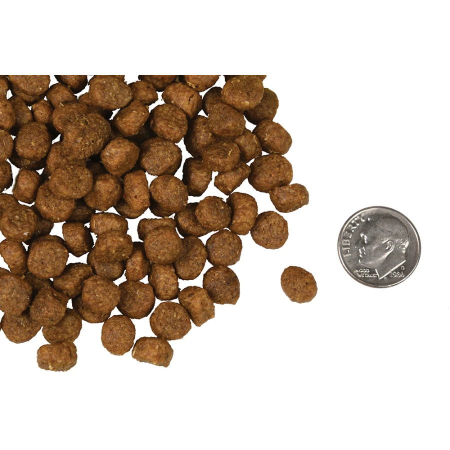 Fromm Four-Star Salmon A La Veg Dog Food 5 Fromm Four-Star Salmon A La Veg Dog Food - Image 3