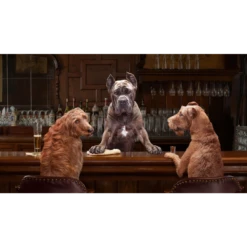 Fromm Gold Large Breed Adult Dog Food -Mutts And Co-us 3FrommGoldLargeBreedAdultDogFood