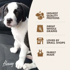 Fromm Gold Puppy Dog Food -Mutts And Co-us 3FrommGoldPuppyDogFood