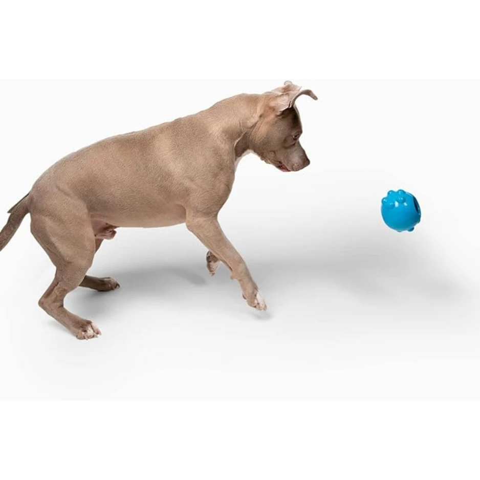 Jolly Pets Dipper Dog Toy Blue 5 Jolly Pets Dipper Dog Toy Blue - Image 3