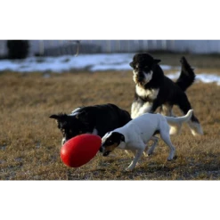 Jolly Pets Egg Dog Toy Red 9 Jolly Pets Egg Dog Toy Red -Mutts And Co-us 3JollyPetsEggDogToyRed