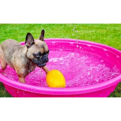 Jolly Pets Egg Dog Toy Yellow 9 Jolly Pets Egg Dog Toy Yellow -Mutts And Co-us 3JollyPetsEggDogToyYellow