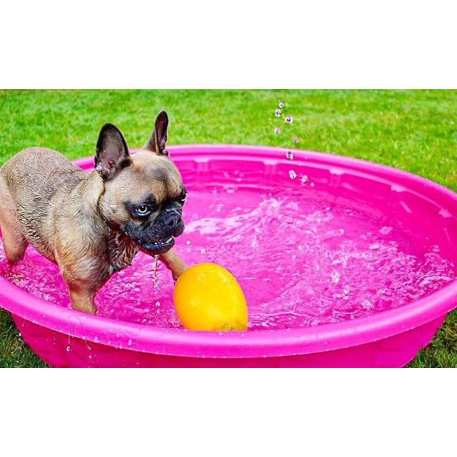 Jolly Pets Egg Dog Toy Yellow 5 Jolly Pets Egg Dog Toy Yellow - Image 3