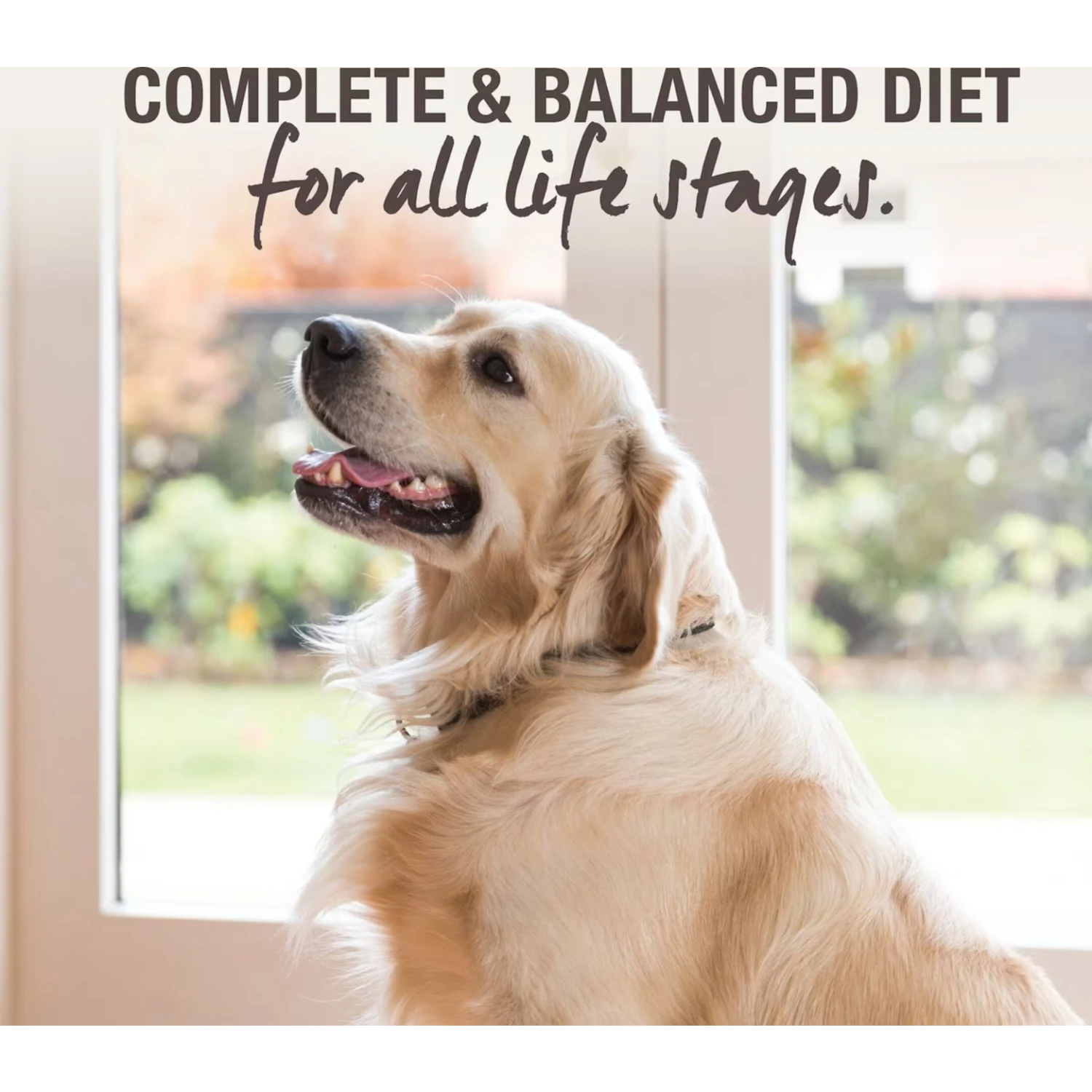 K9 Natural Hoki & Beef Feast Raw Grain-Free Freeze-Dried Dog Food 5 K9 Natural Hoki & Beef Feast Raw Grain-Free Freeze-Dried Dog Food - Image 3