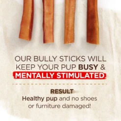 Natural Farm Odor Free Jumbo Bully Stick 6" -Mutts And Co-us 3NaturalFarmOdorFreeJumboBullyStick6