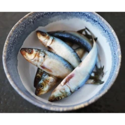 Oma's Pride Whole Sardine Raw Frozen Dog & Cat Food -Mutts And Co-us 3Oma sPrideWholeSardineRawFrozenDog CatFood