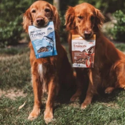 Otis Wild Things Salmon Recipe Trainers Dog Treats 4 Oz -Mutts And Co-us 3OtisWildThingsSalmonRecipeTrainersDogTreats4oz 1
