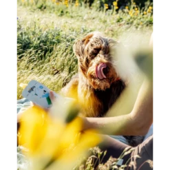 Rigby Organic Chicken Squeeze Pouch Dog Treats 3.5oz Single 8 Rigby Organic Chicken Squeeze Pouch Dog Treats 3.5oz Single -Mutts And Co-us 3RigbyOrganicChickenSqueezePouchDogTreats3.5ozSingle