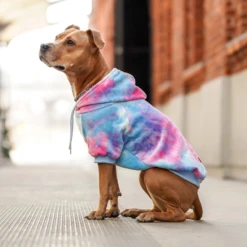 Spark Paws Velvet Dog Hoodie Snow Cone -Mutts And Co-us 3SparkPawsVelvetDogHoodieSnowCone