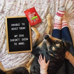 Stella & Chewy's Carnivore Crunch Cage-Free Duck Recipe Freeze-Dried Dog Treats 3.25 Oz -Mutts And Co-us 3Stella Chewy sCarnivoreCrunchCage FreeDuckRecipeFreeze DriedDogTreats3.25oz