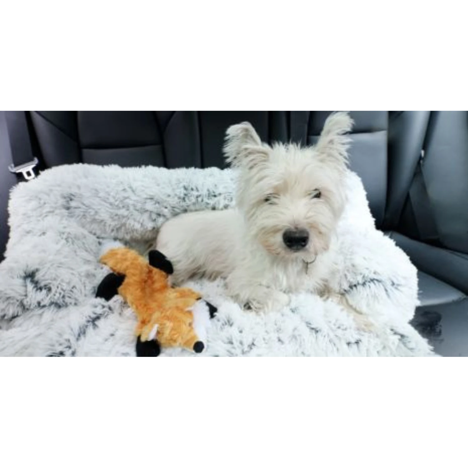 Tall Tails Anywhere Cuddler Dog & Cat Bed, Khaki 6 Tall Tails Anywhere Cuddler Dog & Cat Bed, Khaki - Image 4