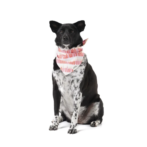 The Paws Wish Dog Bandana Pink 6 The Paws Wish Dog Bandana Pink - Image 4