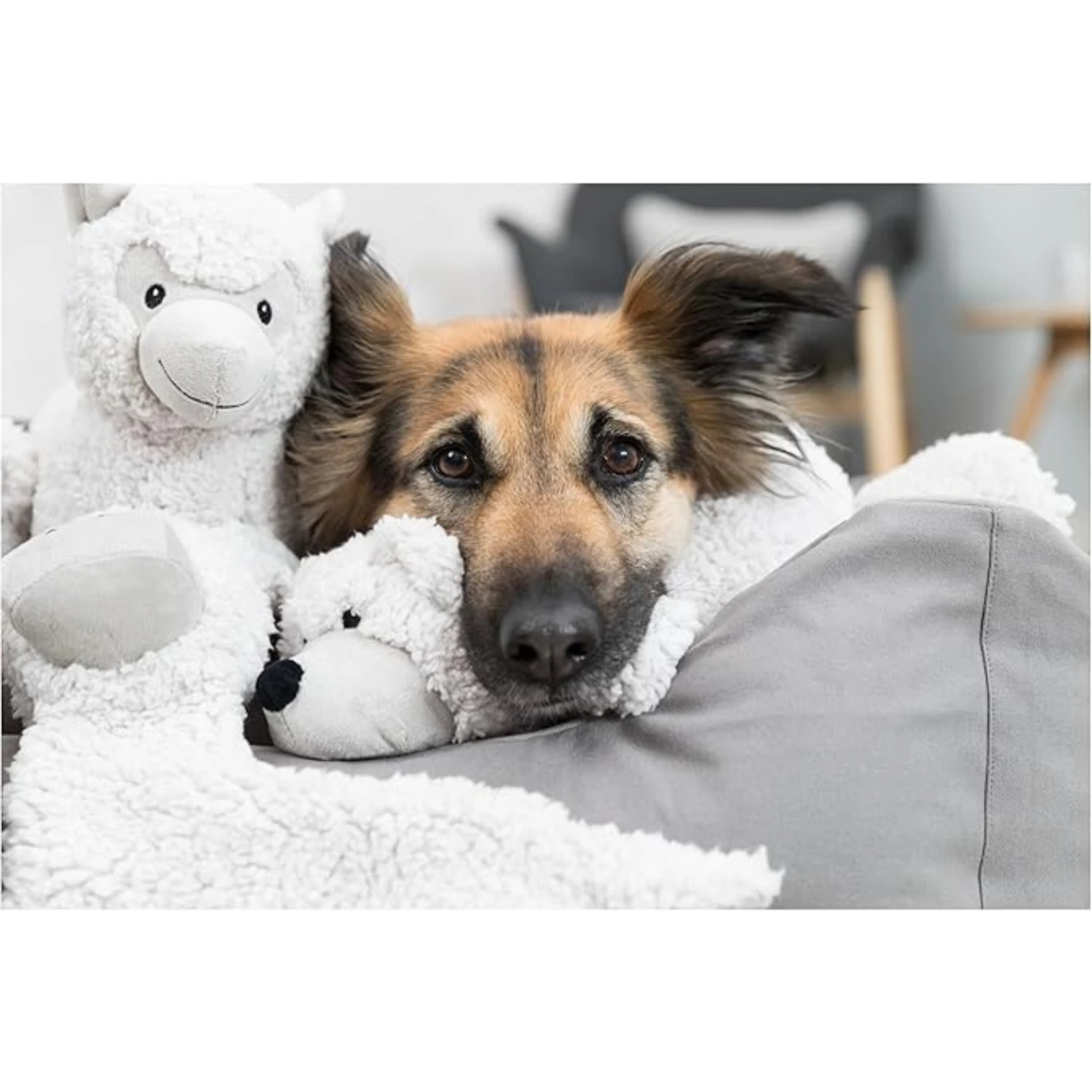 Trixie Emir The Otter Plush Dog Toy, 11.8" 5 Trixie Emir The Otter Plush Dog Toy, 11.8" - Image 3