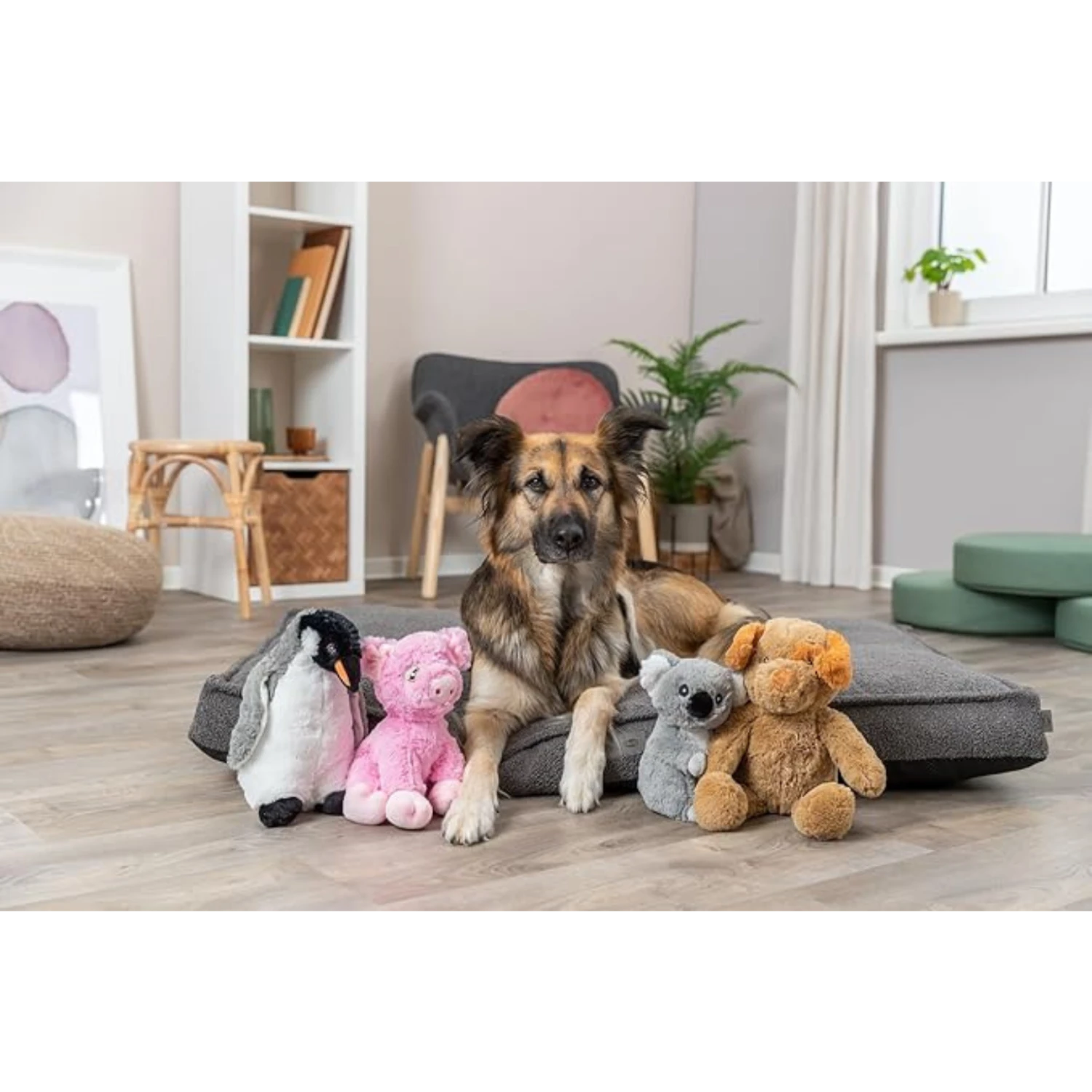 Trixie Enno The Dog Plush Dog Toy, 16" 5 Trixie Enno The Dog Plush Dog Toy, 16" - Image 3