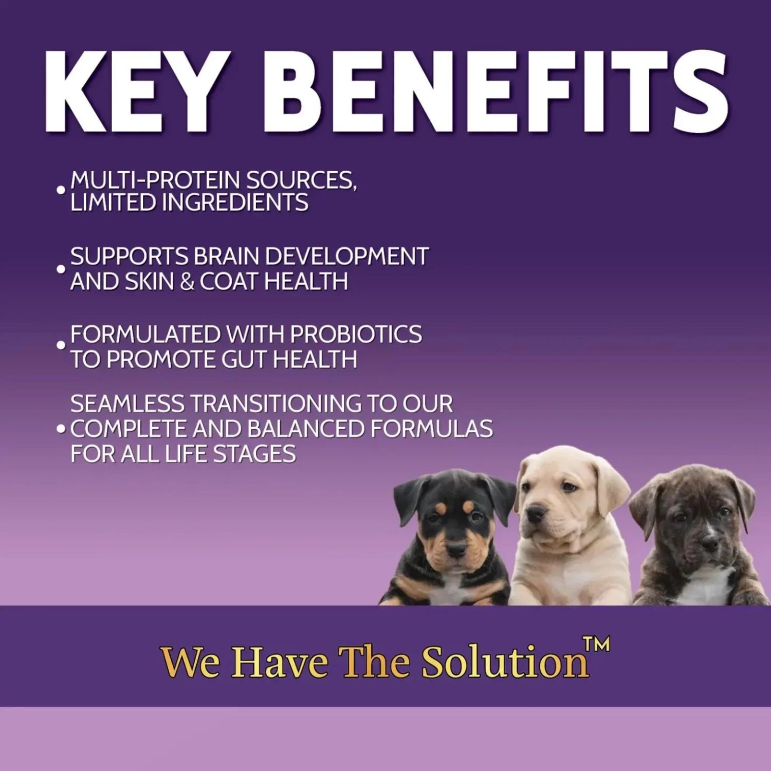 Zignature Puppy Limited Ingredient Formula Dry Dog Food 5 Zignature Puppy Limited Ingredient Formula Dry Dog Food - Image 3