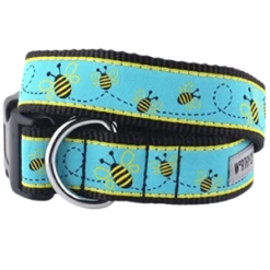 The Worthy Dog Busy Bee Dog Collar