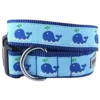The Worthy Dog Squirt The Whale Dog Collar -Mutts And Co-us 42234 609eb55666b1c0.76827869 Worthy 20Dog 20Squirt 20the 20Whale 20Dog 20Collar 4e14cc2c 3c53 4ff2 87b6 2e2ebc94c8d0