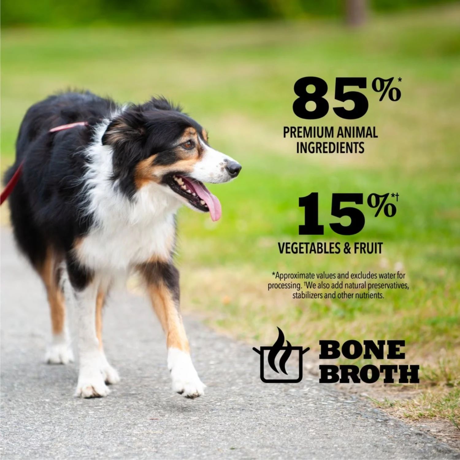 Acana Premium Chunks Beef Recipe In Bone Broth Canned Dog Food, 12.8-oz 6 Acana Premium Chunks Beef Recipe In Bone Broth Canned Dog Food, 12.8-oz - Image 4