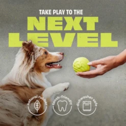 Benebone Bounce Natural Rubber Ball Fetch Dog Toy -Mutts And Co-us 4BeneboneBounceNaturalRubberBallFetchDogToy