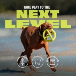 Benebone Bounce Natural Rubber Tug Dog Toy 10 Benebone Bounce Natural Rubber Tug Dog Toy -Mutts And Co-us 4BeneboneBounceNaturalRubberTugDogToy