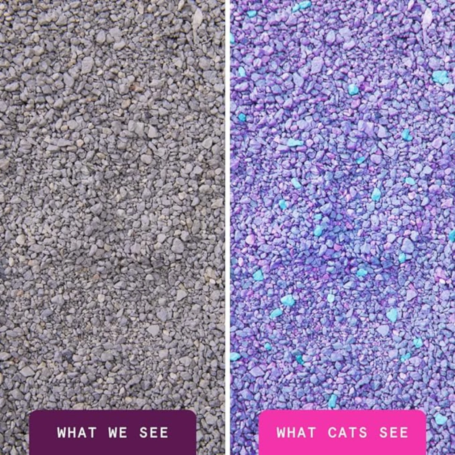 Boxiecat Glo Natural Attractions Clumping Clay Litter 4 Boxiecat Glo Natural Attractions Clumping Clay Litter - Image 2